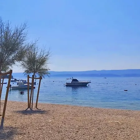 La Vie * Omis